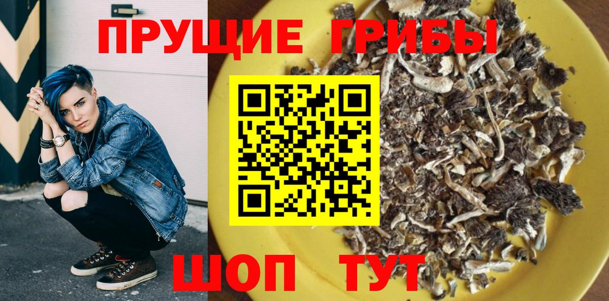 дарнет шоп  Псилоцибиновые грибы Magic Shrooms  Вход с VPN  Йошкар-Ола 
